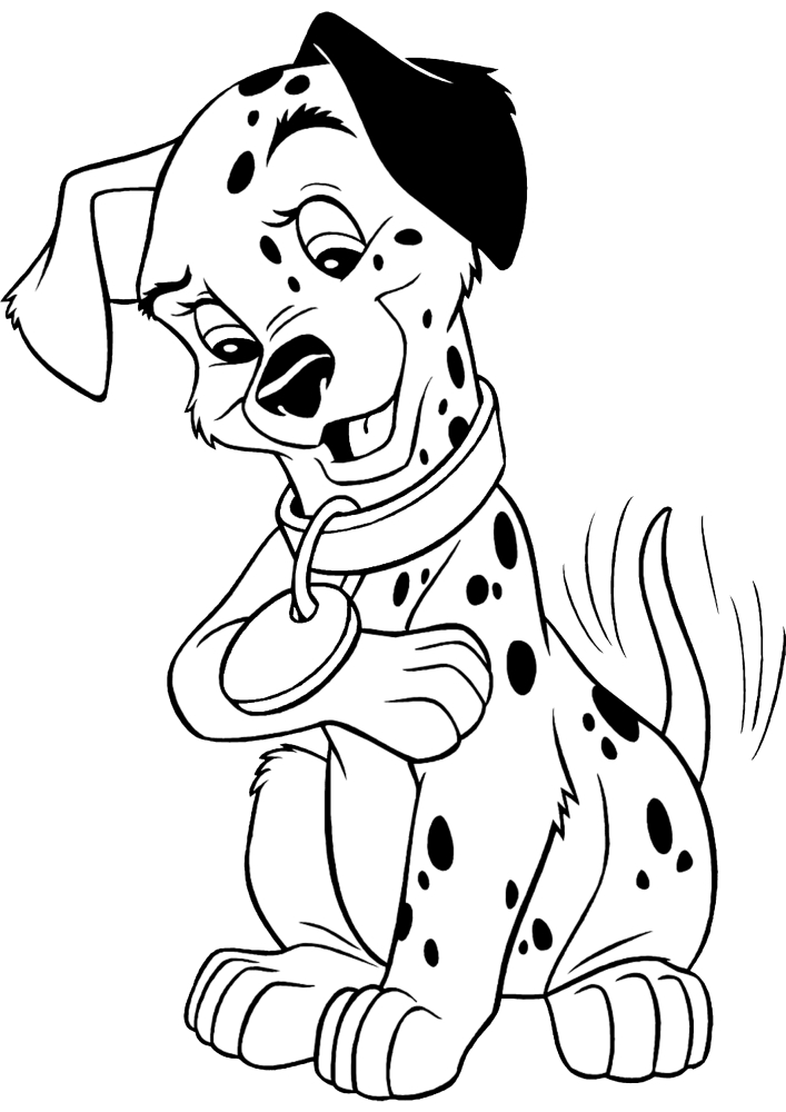 The Dalmatian looks at the collar in surprise